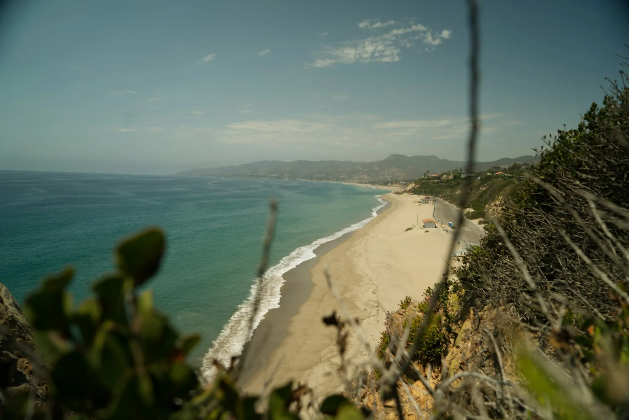 Coastline seen from a grassy cliff
