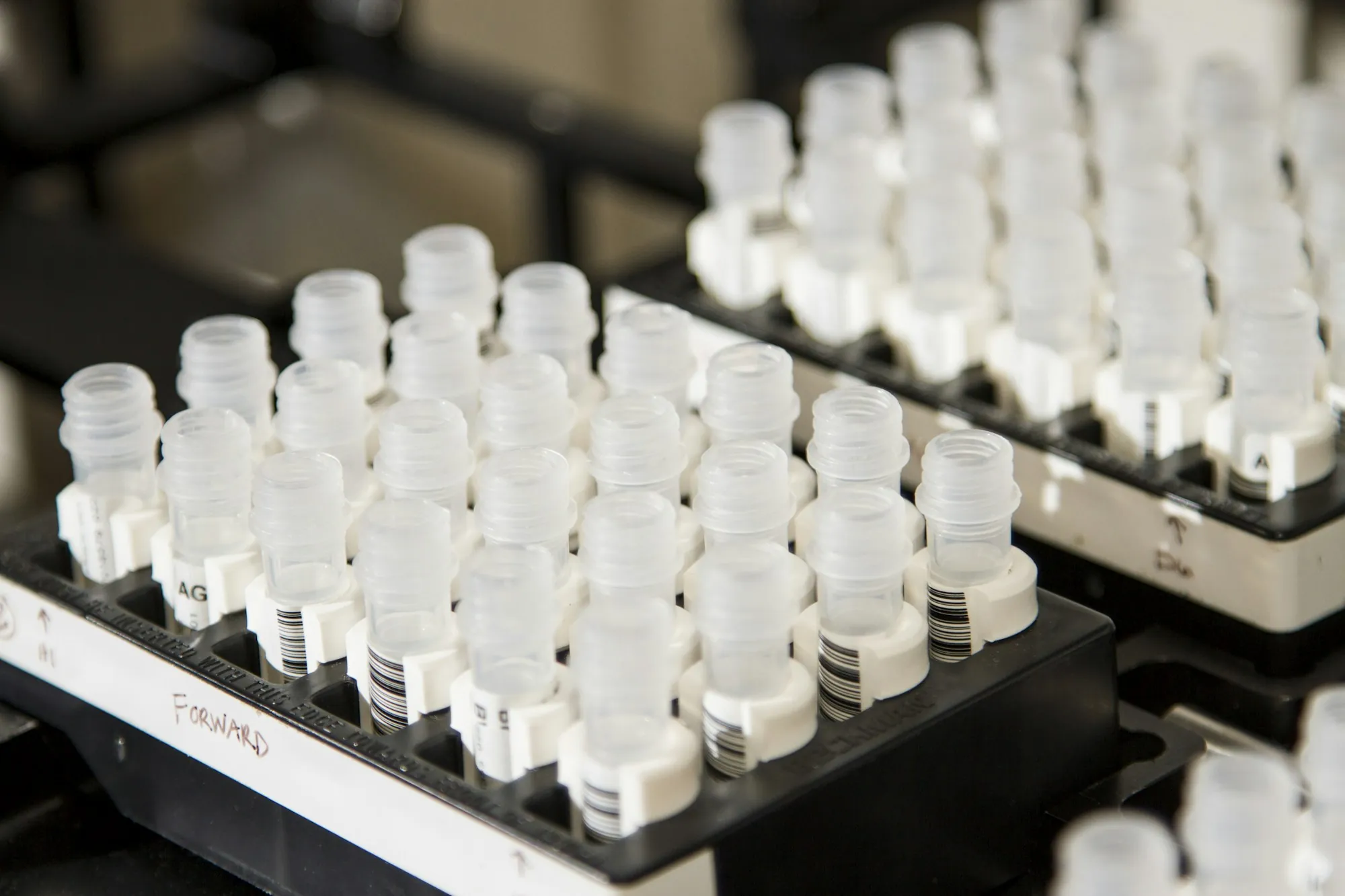 Rack of water sample vials